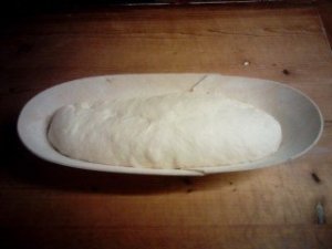 A pihentetés után ismét átgyútjuk és hosszúkásra formázzuk, majd belehelyezzük a veknis szakajtóba.